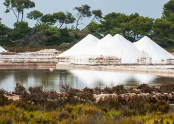 Salzbecken Salines d'es Trenc / Salines de Llevant